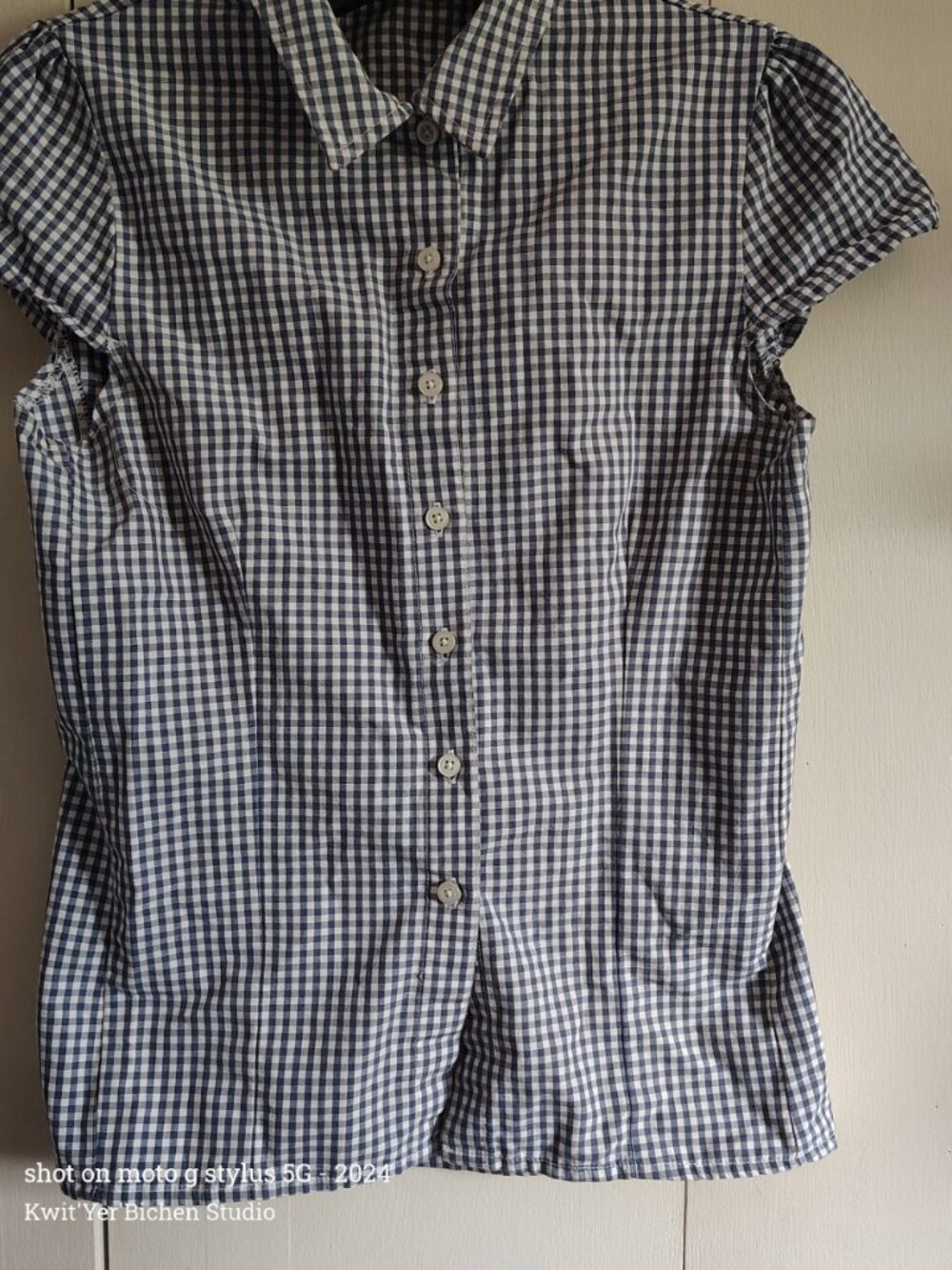 Brandy Melville Blue and White Plaid Button-Front Shirt